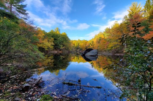 Massachusetts_lake_in_forest