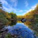 Massachusetts_lake_in_forest