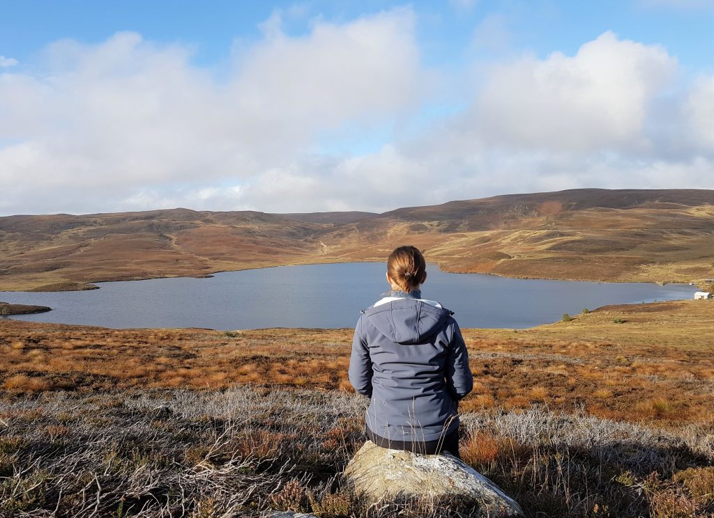 Scotland_moor